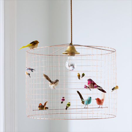 bird decor
