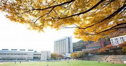 A tree with yellow leaves in front of a building

AI-generated content may be incorrect.