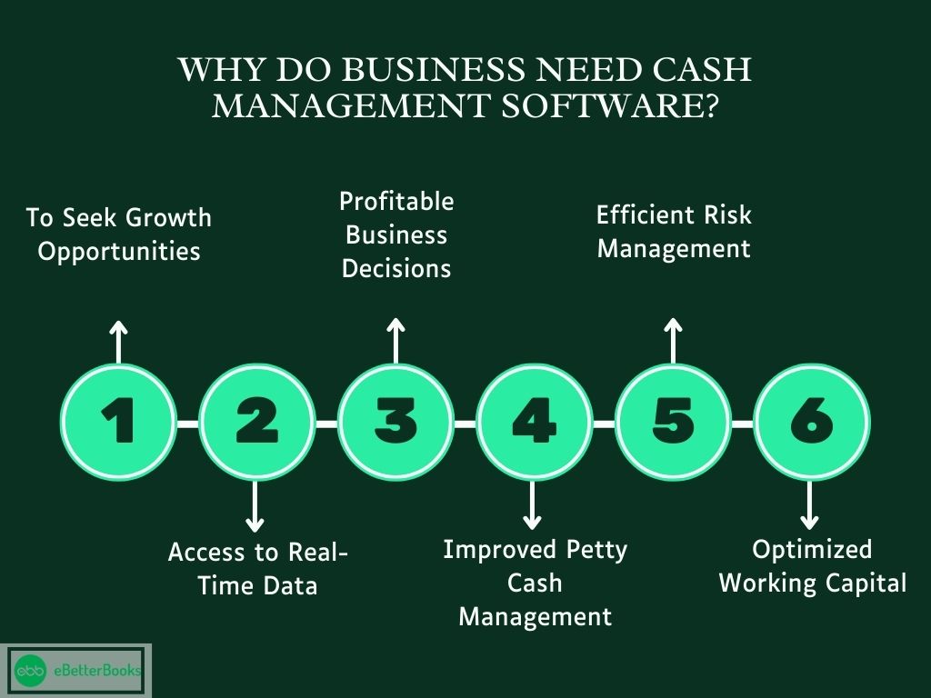 Why Do Businesses Need Cash Management Software