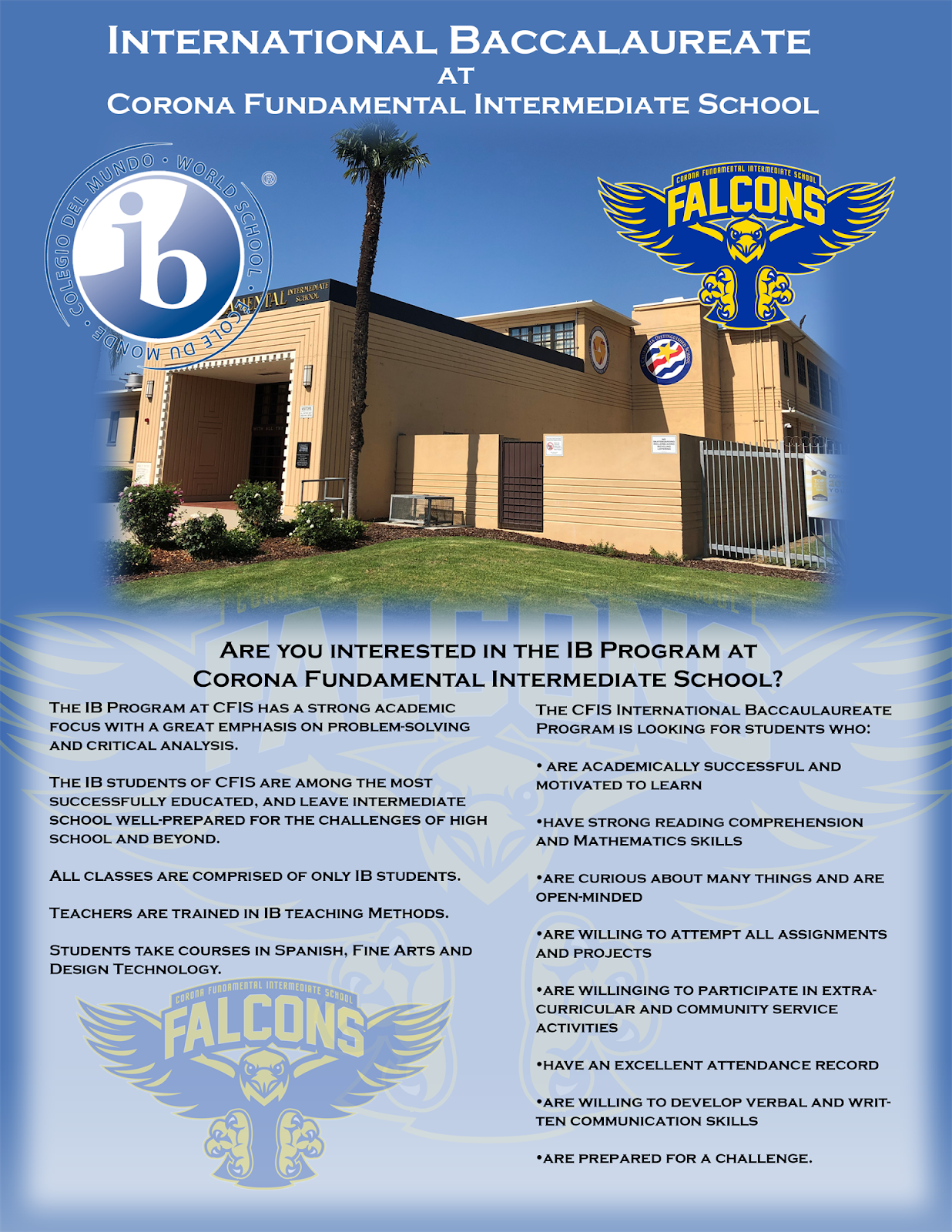 IB Flyer 25 IB Flyer 25