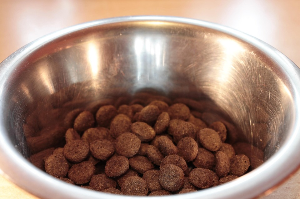nature's recipe wet dog food
