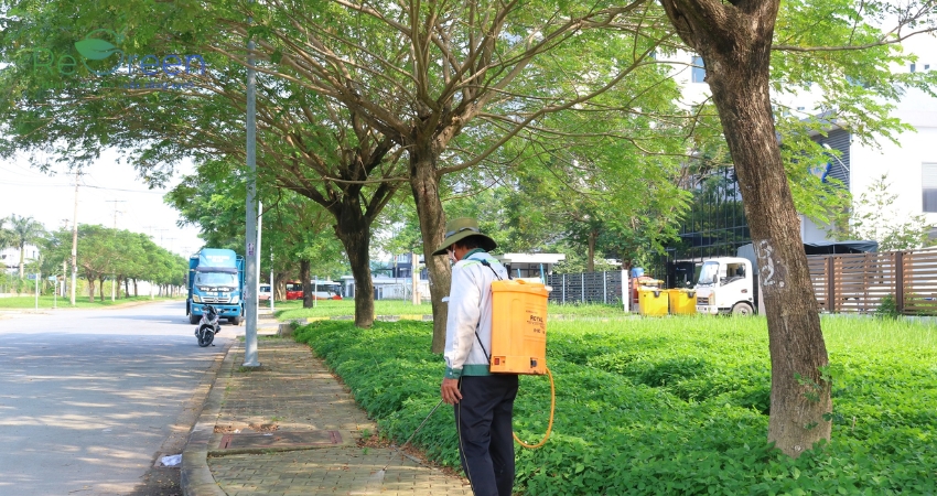 Quy Trình Dịch Vụ Chăm Sóc Bảo Dưỡng Cảnh Quan Tại REGREEN