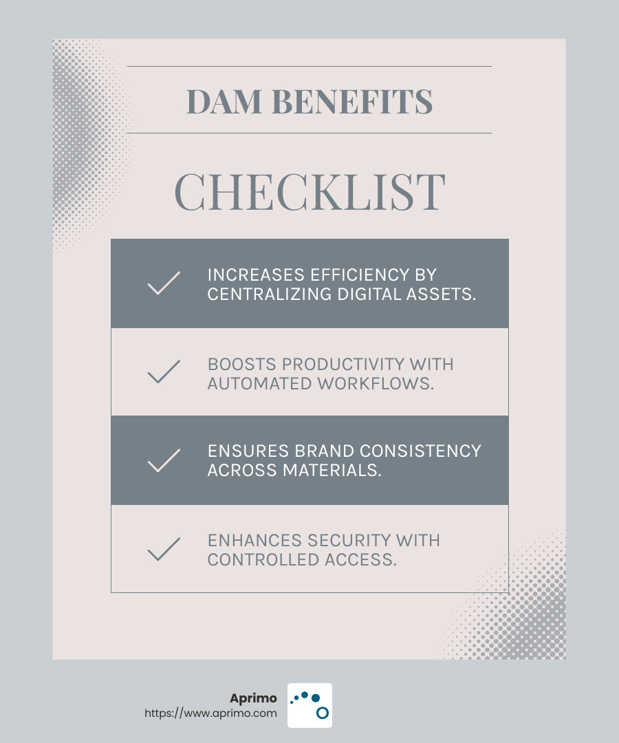 Improved Productivity with DAM - enterprise digital asset management software infographic checklist-light-blue-grey