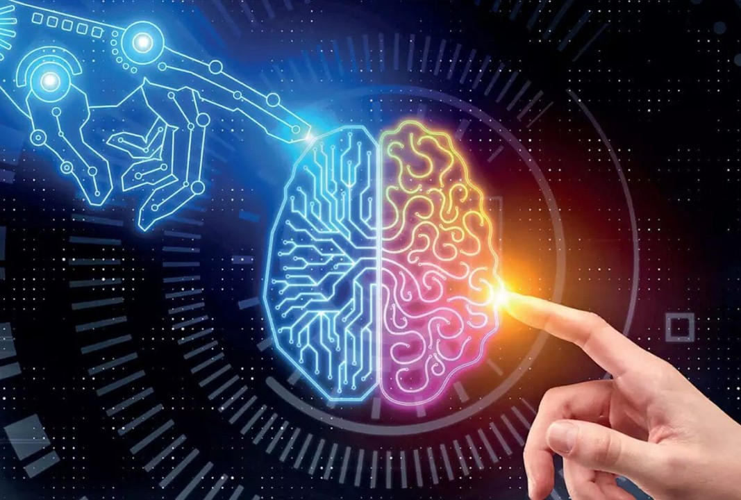 Two brain hemispheres work in harmony