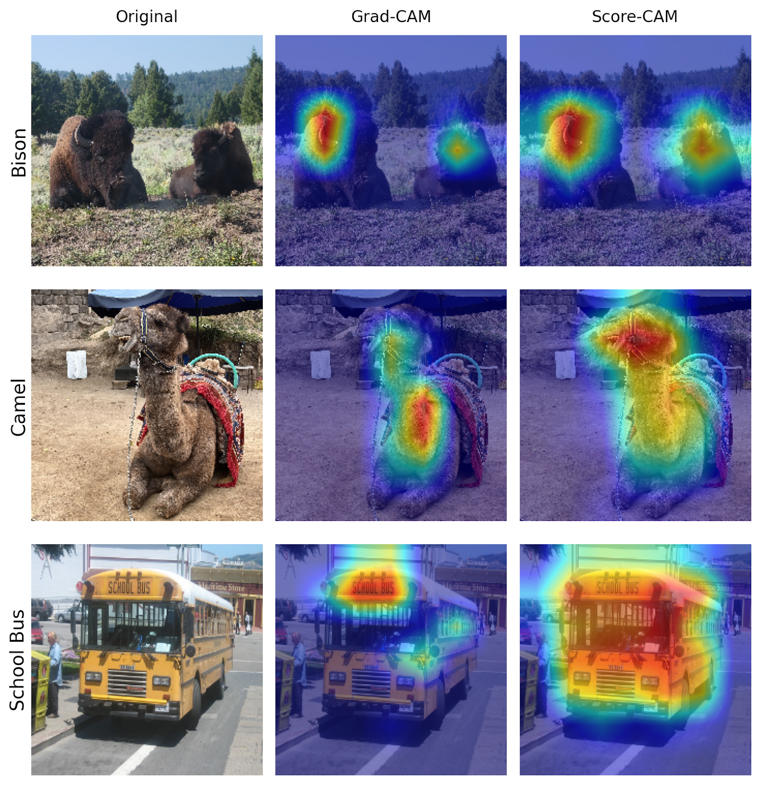 Bison, camel, and school bus images with heat maps