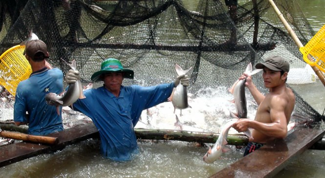 Mekong Delta