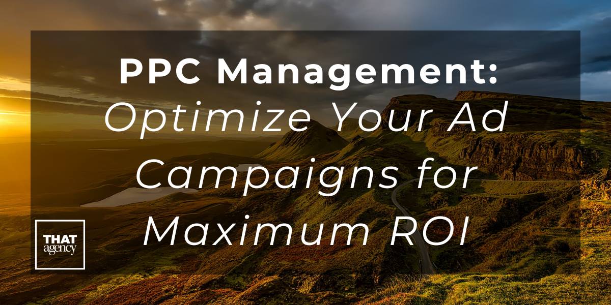 PPC Management: Optimize Your Ad Campaigns for Maximum ROI