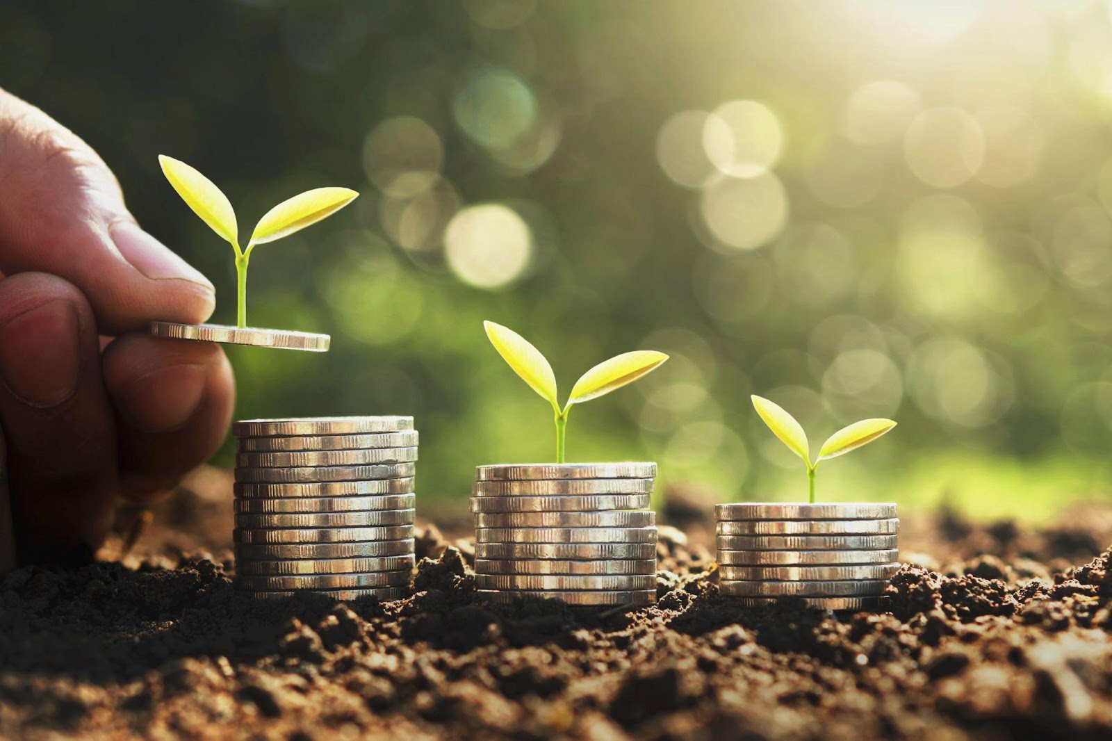coins being stacked on soil with green shoots