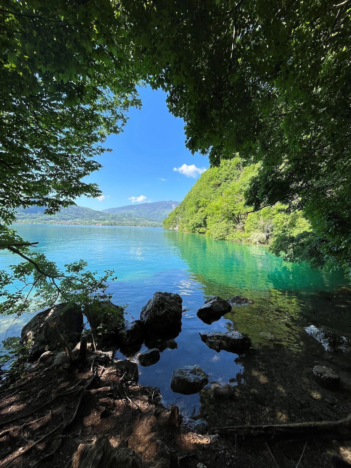 View of Lake Annecy from Talloires Nature Reserve