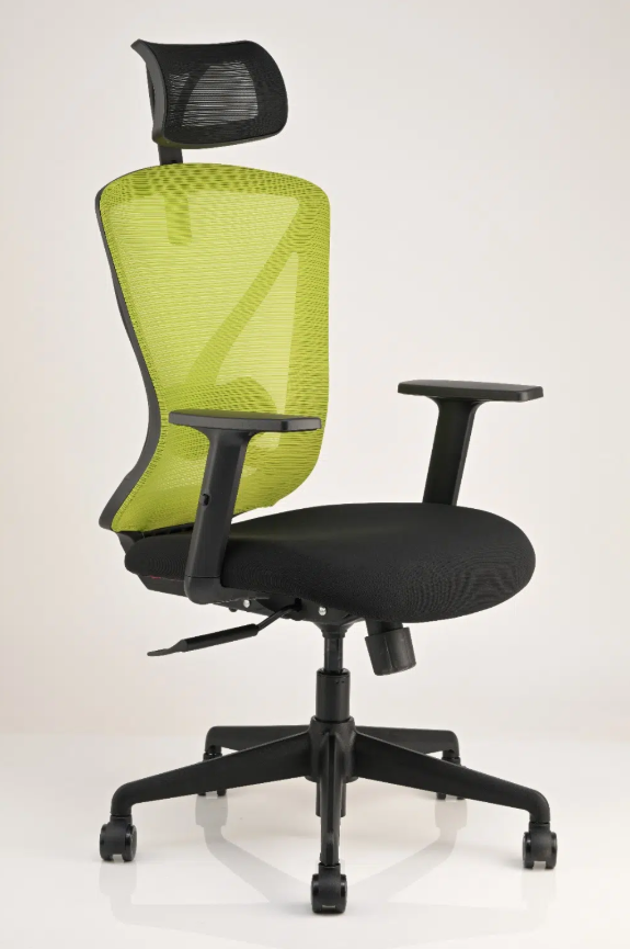 ylk ergox high-back office chair