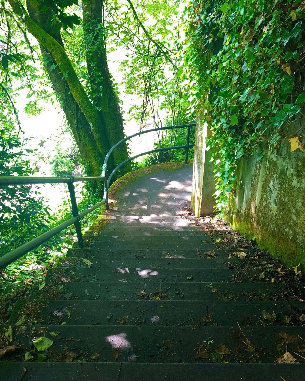 Washington Park