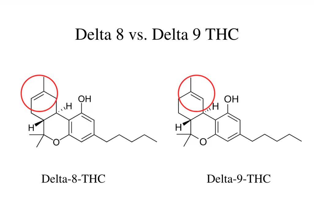 Delta 8 vs. Delta 9