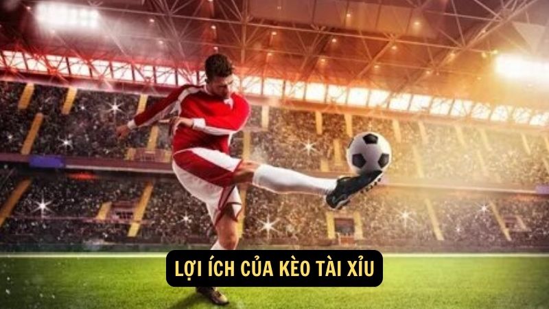 Lợi ích của kèo tài xỉu