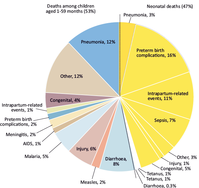 Latest Data - Who 2019 (Globally)