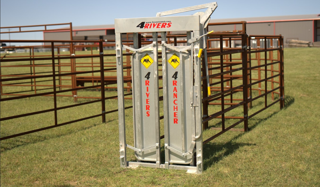 Head gate on cattle system in field