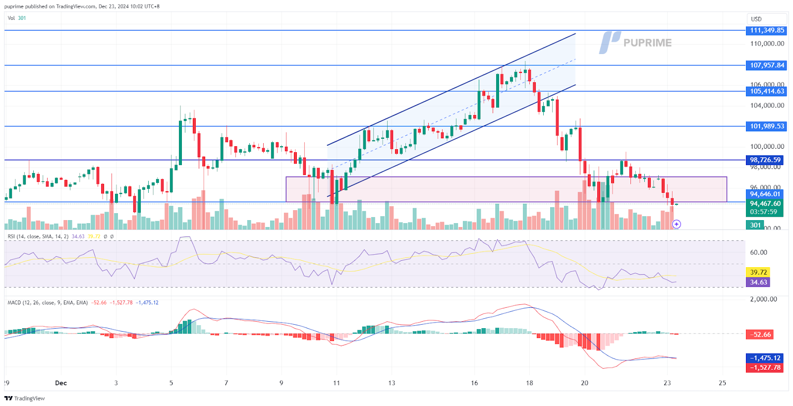 BTC/USD price chart 23 December 2024