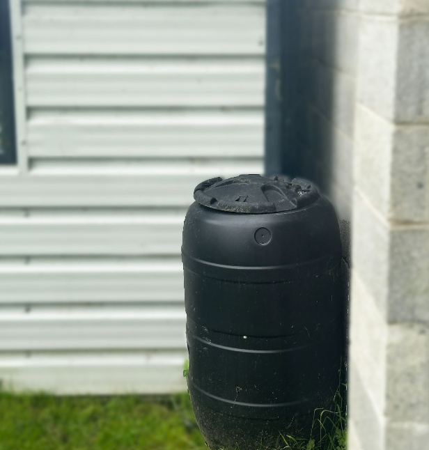 Rainwater barrel for Dan's garden!