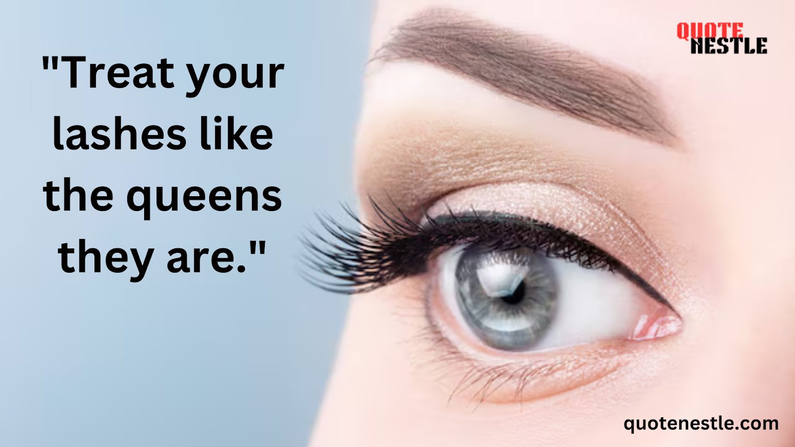 Funny Lash Quotes