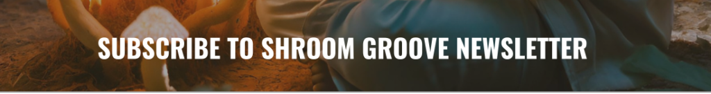 Subscribe Shroom Groove Newsletter