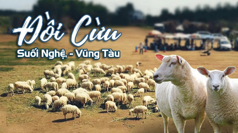 Đồi Cừu Suối Nghệ: Điểm Đến Không Thể Bỏ Qua 2024