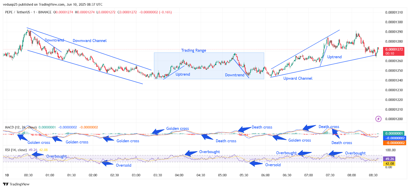 Chart 12- PEPE/USDT M1 Chart, Analysed By Anushri Varshney, Published on TradingView, June 10, 2025
