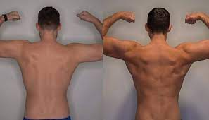 Before and After MK-677: Muscle gains and improved definition in the back and shoulders.