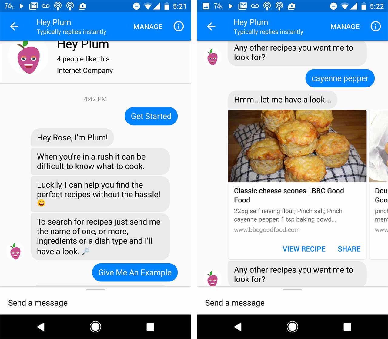 Hey Plum chatbot in action providing recipies