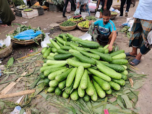 Keep - in - Mind - That - Bottle - Gourd - and - Its - Benefits - For - Different - Diseases