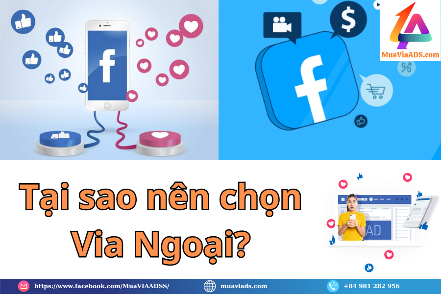 Tại sao nên chọn Via Ngoại