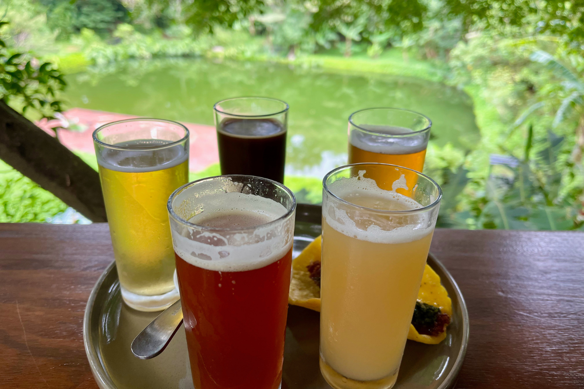 beer tour in Brasilito Costa Rica