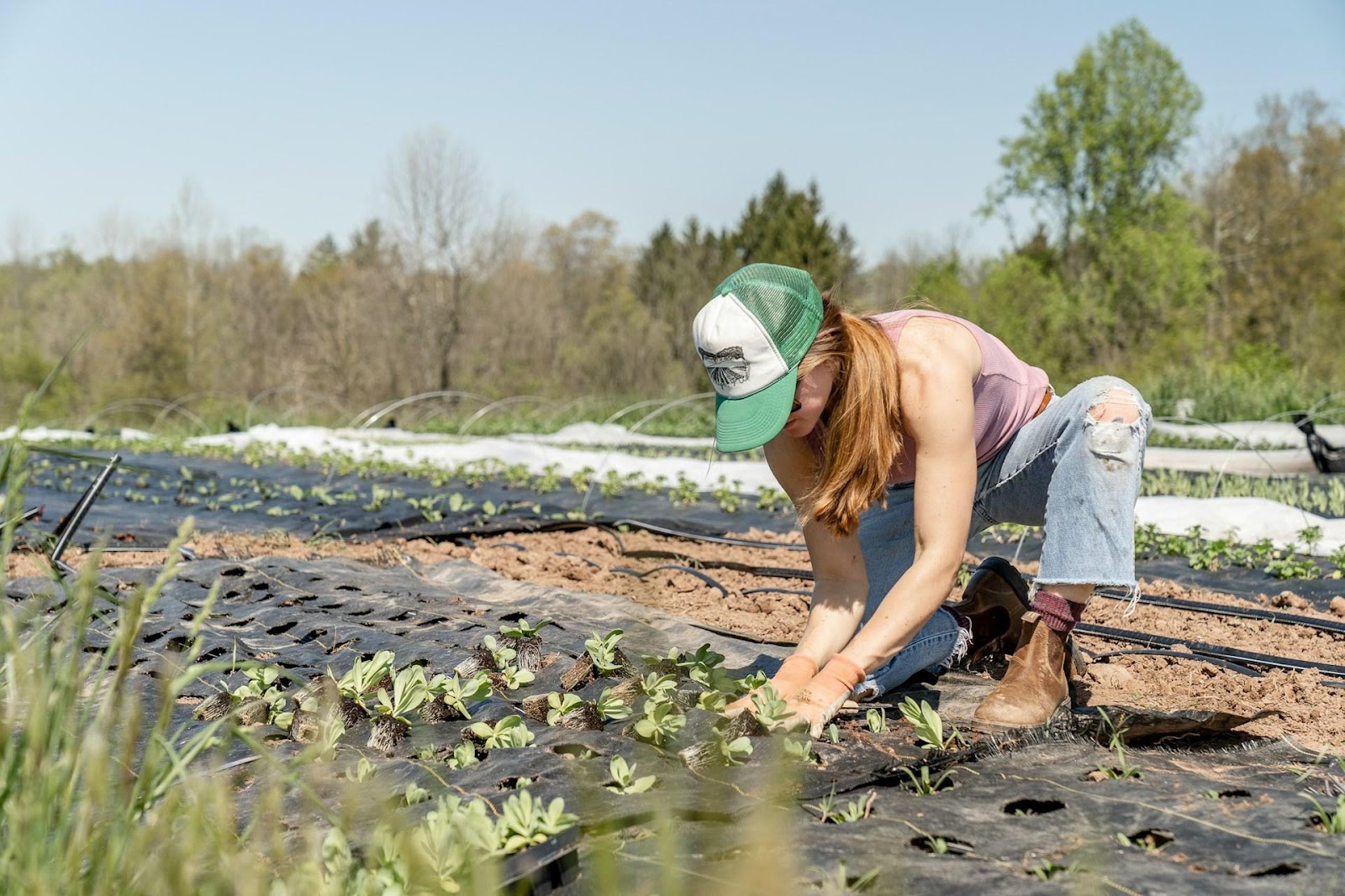 How a Vegan Diet Reduces Your Carbon Footprint