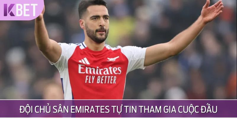 minh hoạ tinh thần chủ sân emirates