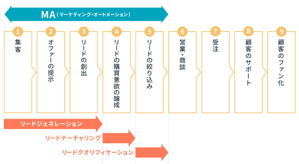 MAはリードナーチャリングとリードクオリフィケーションを担当