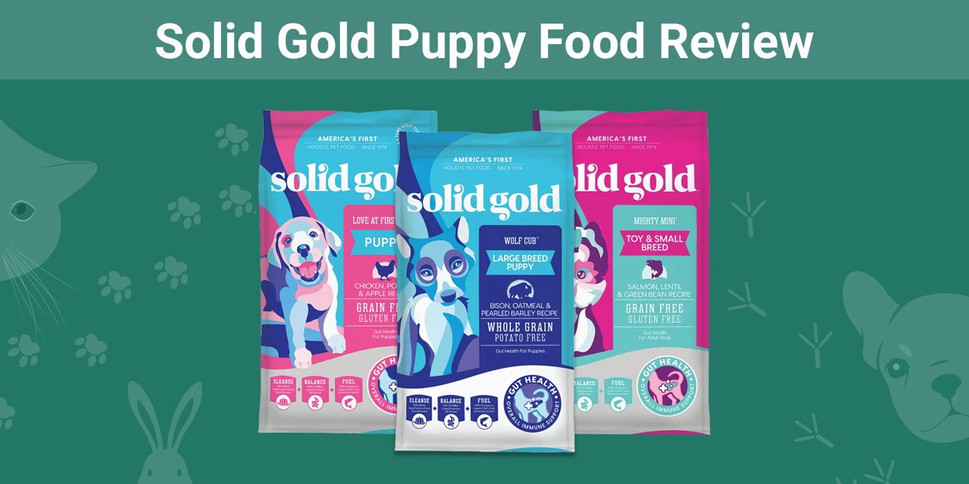 Solid Gold Puppy Food Reviews