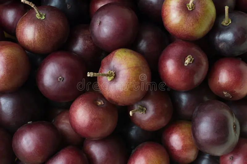 AD 4nXeXvQSNW7GtbG PJSaslQCazklerDUcIEejzkpD4EaHVhUMcFY4onrNjb6qX3lnHEl6lD8kNekSdFyNsN9G8r7qpSDSHZeLQS 7nsJjv4PhYSZT4aNZvJKtn8NJ UWmiR8e0MtBNw?key=8QLglSMgLDvilTlI1FBhrw