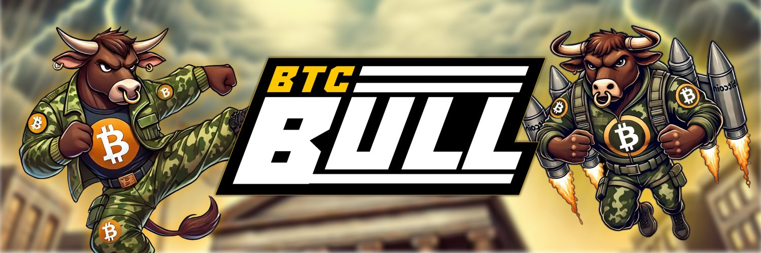 BTC 불 토큰