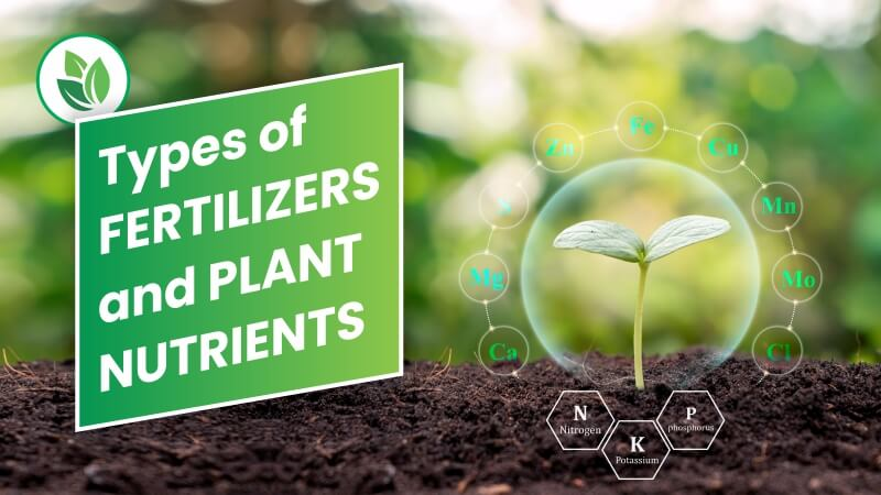 Types of Organic Plant Nutrients