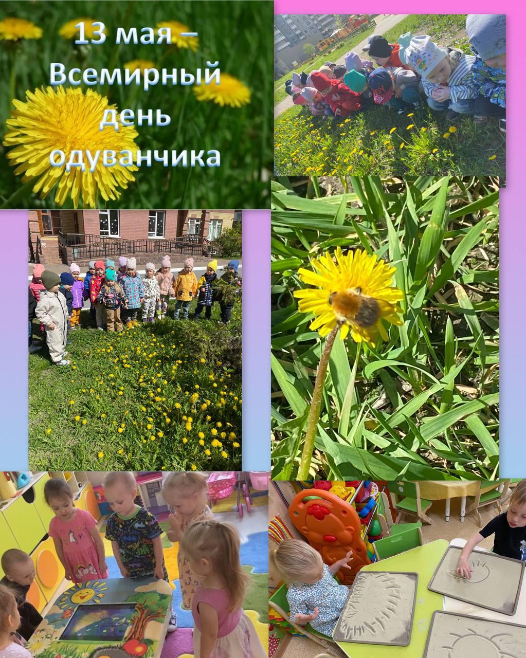 «Кусочек майского солнышка»