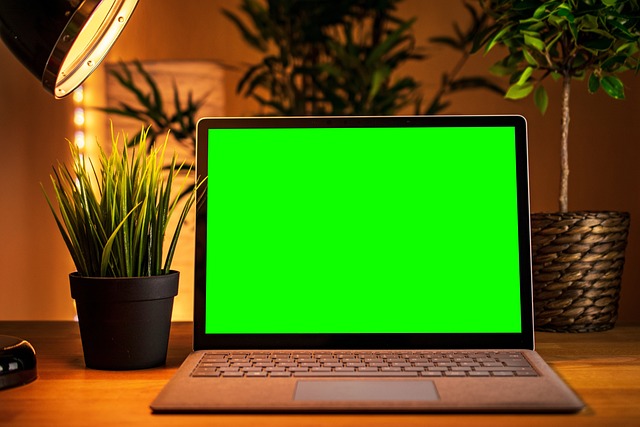 How to Fix a Green Screen on Your Macbook? 1