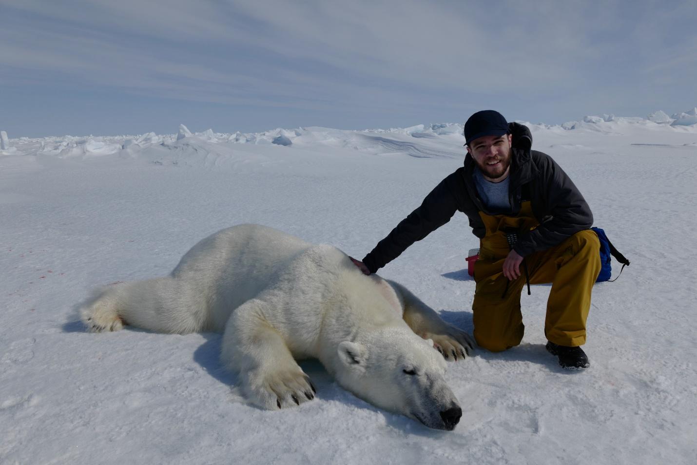 A person kneeling next to a polar bear lying on snow

Description automatically generated