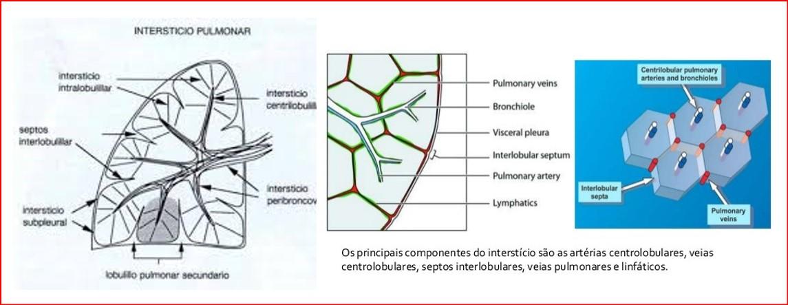 Gráfico, Gráfico de radar

Descrição gerada automaticamente