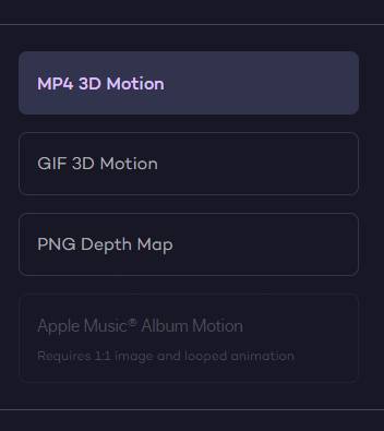 Export Option in LeiaPix