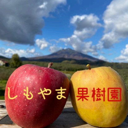 蘋果禮盒