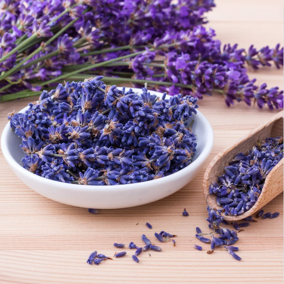 lavender plants and flower buds in a wooden bowl