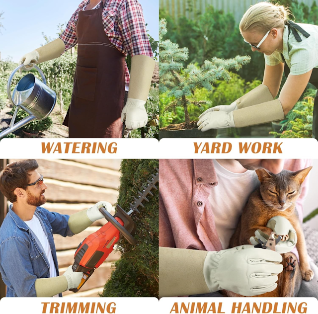 Top 5 Gardening Kits for Iowa Hiking