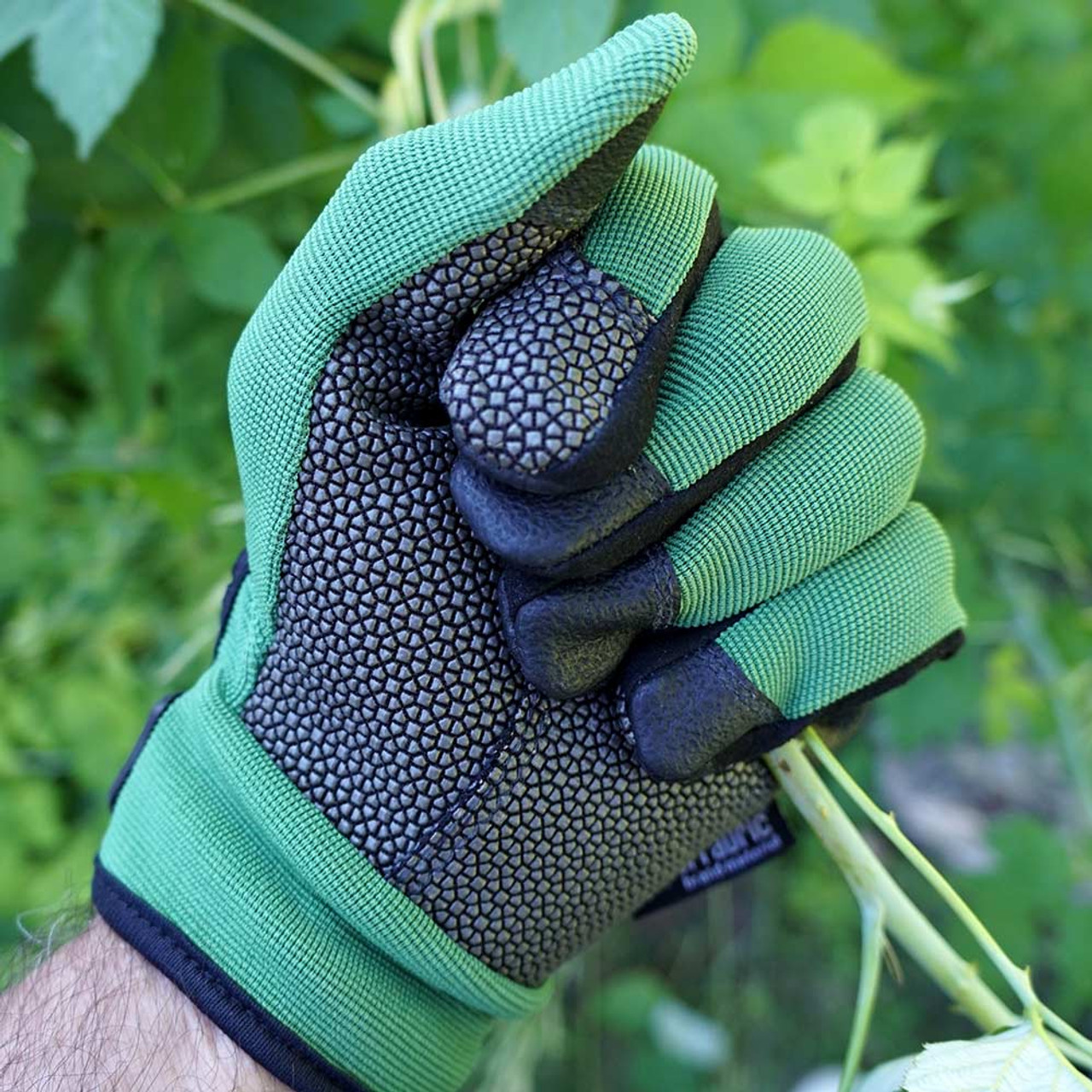  Gloves is one of the basic essential garden tools every gardener must have
