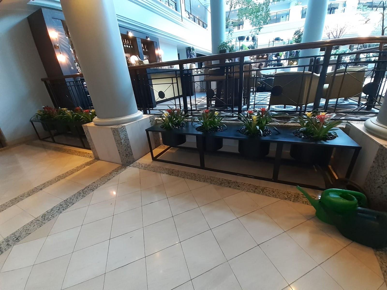 Interior Planting In Reception Area