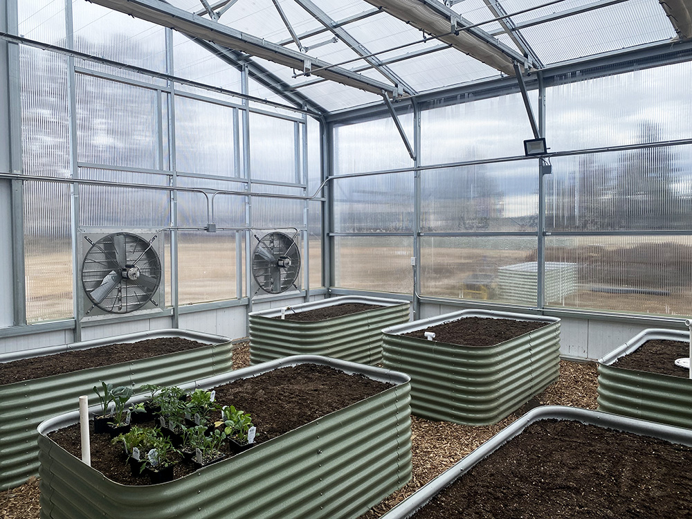 Improving Greenhouse Design for Disease Control