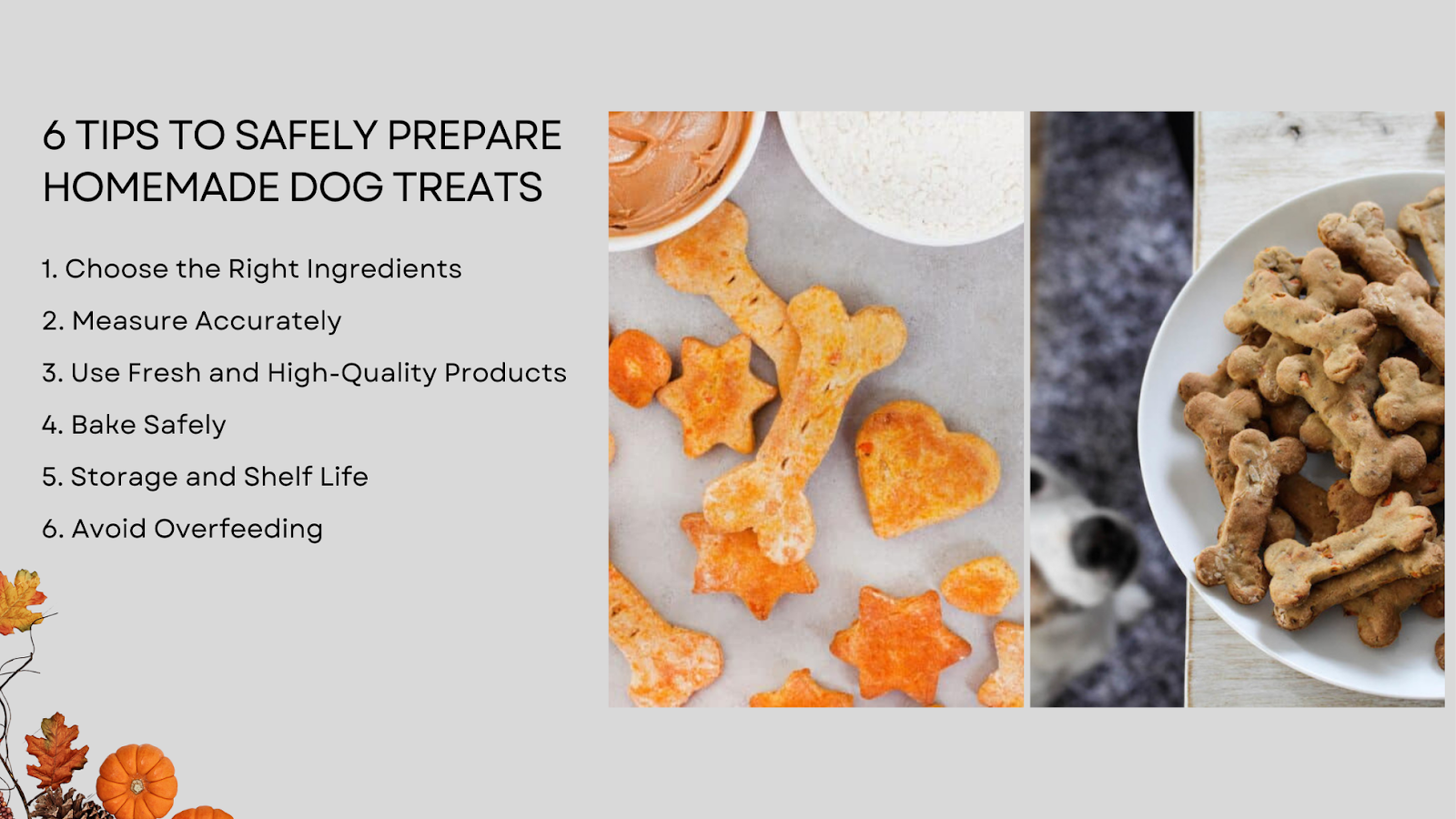 tips to safely prepare homemade dog treats