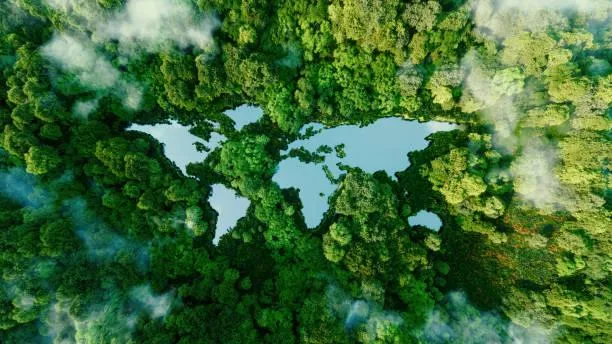 10 Places That Show Nature’s Grace, graceful nature, elegant landscapes, nature, forest, landscape, smooth scenery, soft visuals